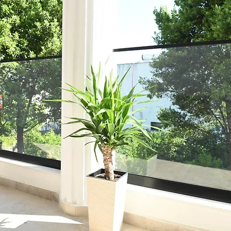 Prima Garden * Durrës